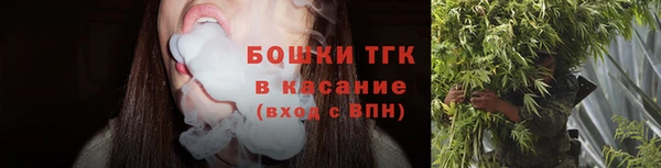 дурь Нягань