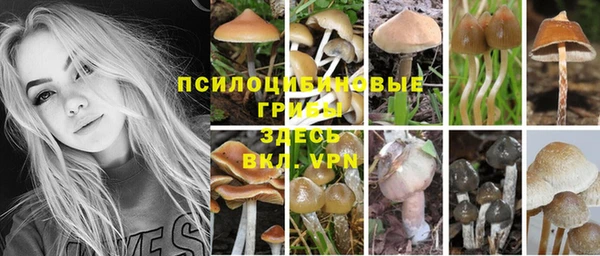 гашишное масло Осташков