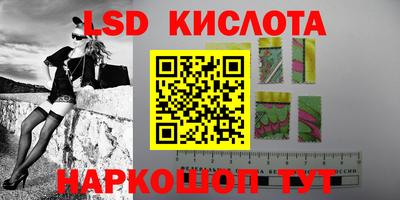 стаф Заводоуковск