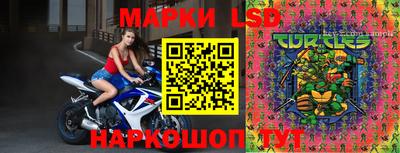стаф Заводоуковск