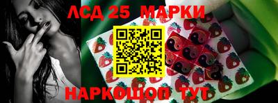 стафф Обнинск