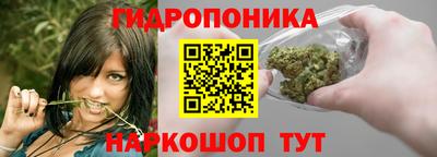 стаф Заводоуковск
