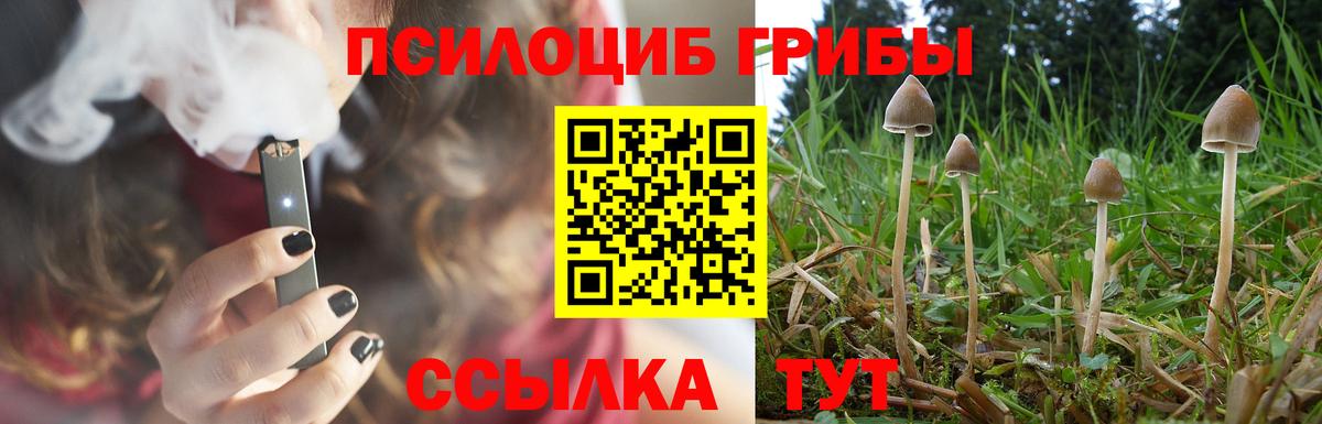  COCAIN Новодвинск