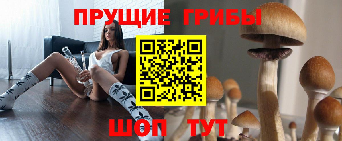 Псилоцибиновые грибы Magic Shrooms Новодвинск