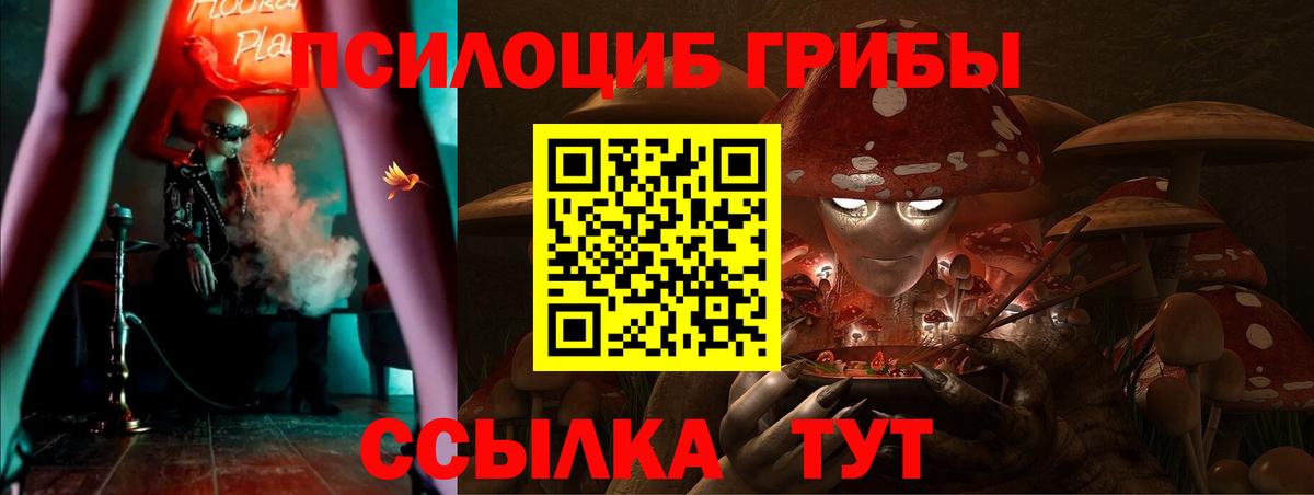 Новодвинск  Псилоцибиновые грибы Psilocybine cubensis  купить наркоту  Вход с VPN 